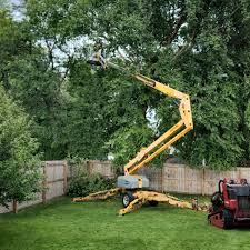Best Lawn Irrigation Installation and Maintenance  in Pleasant Run, OH