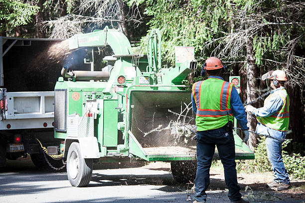 Best Tree and Shrub Care  in Pleasant Run, OH