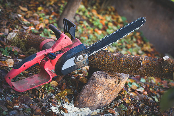 Best Tree Disease Treatment  in Pleasant Run, OH